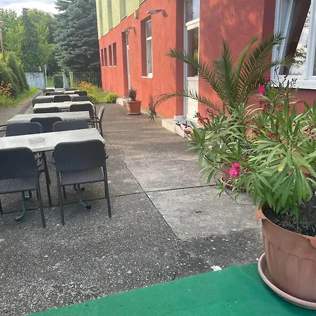 Tifani Szallo バラトンレッレ